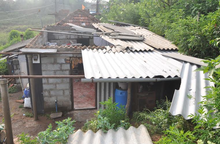 ಮಡಿಕೇರಿ: ಗಾಳಿ, ಮಳೆಯಿಂದ ಅಪಾರ ನಷ್ಟ